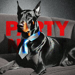 lN^C h[x} \t@[ NbVJo[ 45×45cm Aj}   NbV{̕t ` t@