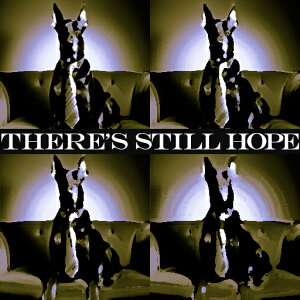 lN^C _VA \t@ NbVJo[ 45×45cm Aj}   NbV{̕t ` t@