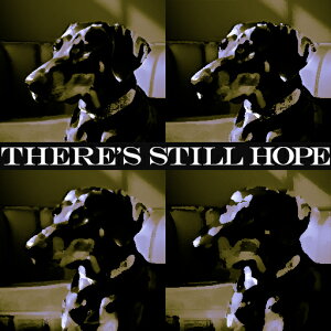 \t@ _VA bZ[W NbVJo[ 45×45cm Aj}   NbV{̕t ` t@