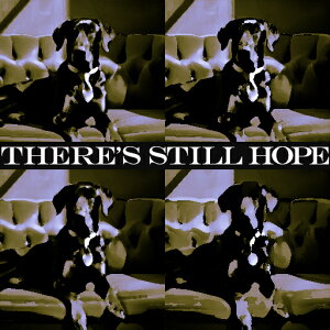 �\�t�@ ���̑� ��] �|�b�v�A�[�g �N�b�V�����J�o�[ 45×45cm �A�j�}���� ������� ���� �N�b�V�����{�̕t�� �����` ���t�@��