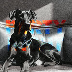 \t@ h[x}  Ɩ NbVJo[ 45×45cm Aj}   NbV{̕t ` t@