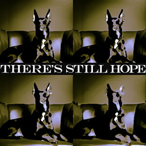 ] ̑ ^摜  CÂ \t@ NbVJo[ 45×45cm Aj}   NbV{̕t ` t@