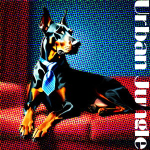 lN^C h[x} \t@ A[o NbVJo[ 45×45cm Aj}   NbV{̕t ` t@