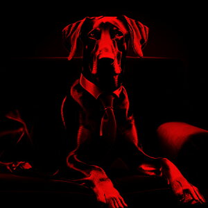 X[c h[x} lN^C \t@ È bhCg NbVJo[ 45×45cm Aj}   NbV{̕t ` t@