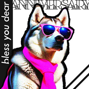 TOX VxAnXL[ sÑXJ[t eLXg NbVJo[ 45×45cm Aj}   NbV{̕t ` t@