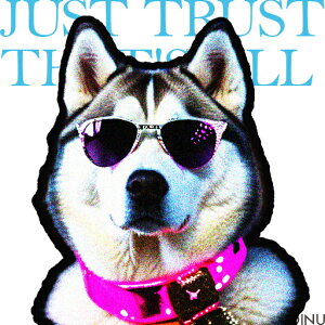 TOX VxAnXL[ sN̎ Kl N[ NbVJo[ 45×45cm Aj}   NbV{̕t ` t@