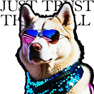 TOX nXL[ XJ[t N[ NbVJo[ 45×45cm Aj}   NbV{̕t ` t@