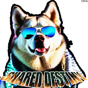 TOX Č Ί   NbVJo[ 45×45cm Aj}   NbV{̕t ` t@