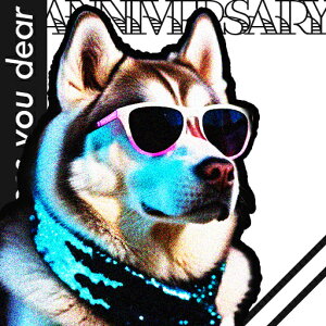 TOX VxAnXL[ }t[ h t@bV NbVJo[ 45×45cm Aj}   NbV{̕t ` t@