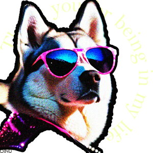 TOX VxAnXL[ sN  N[ }t[ NbVJo[ 45×45cm Aj}  NbV{̕t ` t@