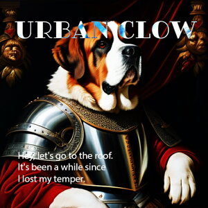 Z Zgo[i[h ԂJ[e ̒ NbVJo[ 45×45cm Aj}   NbV{̕t ` t@