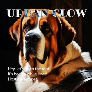 \t@ Zgo[i[h  eLXg NbVJo[ 45×45cm Aj}   NbV{̕t ` t@