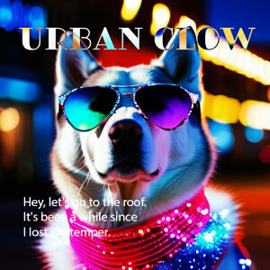 TOX VxAnXL[ X i lI }t[ NbVJo[ 45×45cm Aj}   NbV{̕t ` t@