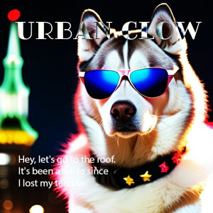 TOX VxAnXL[ s CgAbv `̎ NbVJo[ 45×45cm Aj}   NbV{̕t ` t@