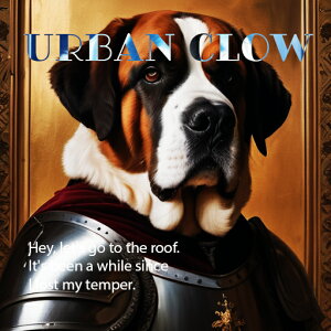 Z Zgo[i[h G eLXg NbVJo[ 45×45cm Aj}   NbV{̕t ` t@