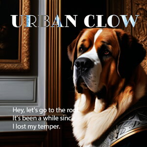 A[g Zgo[i[h G   NbVJo[ 45×45cm Aj}   NbV{̕t ` t@