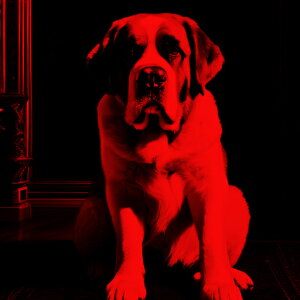 O~ Zgo[i[h  Ɖe NbVJo[ 45×45cm Aj}   NbV{̕t ` t@