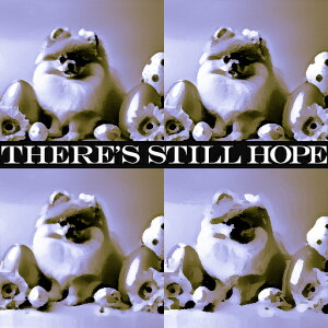 C`S |jA ʂ ] NbVJo[ 45×45cm Aj}   NbV{̕t ` t@