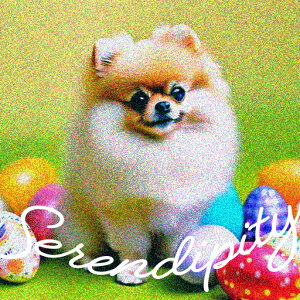  |jA pXeJ[ t C[X^[ NbVJo[ 45×45cm Aj}   NbV{̕t ` t@