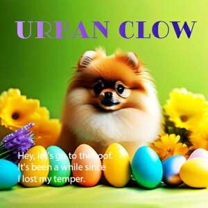  |jA Jtȗ ΂̔wi NbVJo[ 45×45cm Aj}   NbV{̕t ` t@