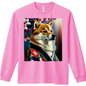 TVc lԗp Y Ht vg W[ AEghA JWA 킢 t@  Č  