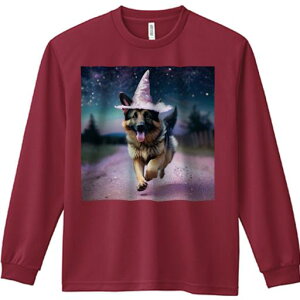 TVc lԗp Y Ht vg W[ AEghA JWA 킢 t@ @̖Xq W[}VFp[hhbO   