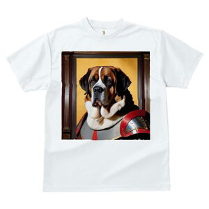 TVc Y LbY t@  t  vg JWA 킢 lԗp tBbglX _X Rm̊Z Zgo[i[h z F̔wi