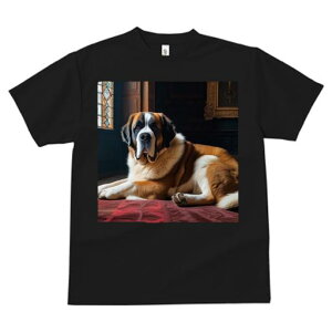 TVc Y LbY t@  t  vg JWA 킢 lԗp tBbglX _X XehOX Zgo[i[h O}bg z