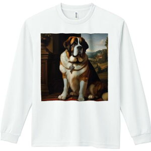 TVc lԗp Y Ht vg W[ AEghA JWA 킢 t@ G Zgo[i[h  i