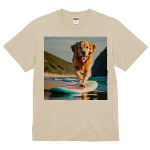 TVc Y LbY t@  t  vg JWA 킢 lԗp tBbglX _X T[tB S[fgo[ r[` C g