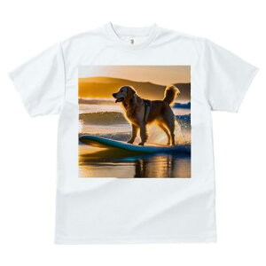 TVc Y LbY t@  t  vg JWA 킢 lԗp tBbglX _X T[t{[h S[fgo[ C [