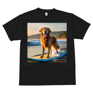 TVc fB[X t@  t  vg JWA 킢 lԗp tBbglX _X T[t{[h S[fgo[ C [ g