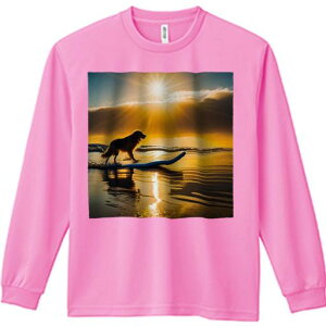 TVc lԗp Y Ht vg W[ AEghA JWA 킢 t@ T[t{[h S[fgo[ C v r[`