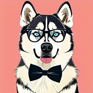 Kl VxAnXL[ lN^C sNwi NbVJo[ 45×45cm Aj}   NbV{̕t ` t@