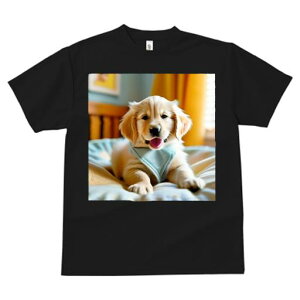 TVc fB[X t@  t  vg JWA 킢 lԗp tBbglX _X q S[fgo[ g͋C  _炩n