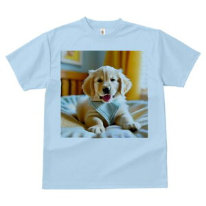 TVc Y LbY t@  t  vg JWA 킢 lԗp tBbglX _X q S[fgo[ g͋C  _炩n