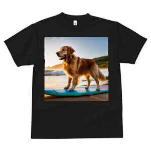 TVc fB[X t@  t  vg JWA 킢 lԗp tBbglX _X [ S[fgo[ r[` T[t{[h g