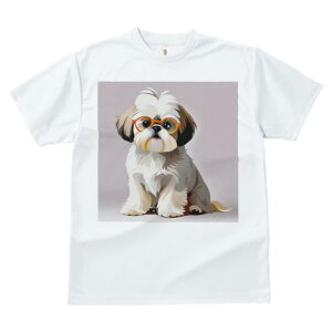 TVc fB[X t@  t  vg JWA 킢 lԗp tBbglX _X Kl V[Y[ 킢  