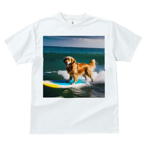 TVc fB[X t@  t  vg JWA 킢 lԗp tBbglX _X T[t{[h S[fgo[ C g