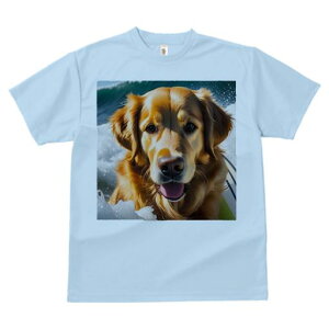 TVc Y LbY t@  t  vg JWA 킢 lԗp tBbglX _X T[tB S[fg[o[ g C