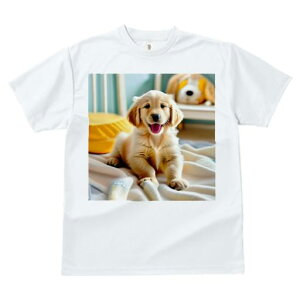 TVc fB[X t@  t  vg JWA 킢 lԗp tBbglX _X ѕz S[fgo[ xbh ̂ʂ