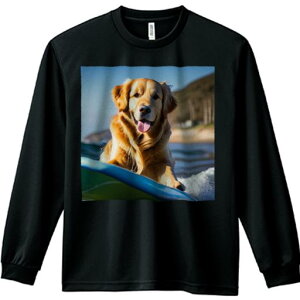 TVc lԗp Y Ht vg W[ AEghA JWA 킢 t@ T[tB S[fgo[ r[` C g 