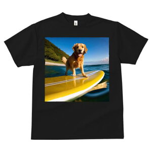 TVc fB[X t@  t  vg JWA 킢 lԗp tBbglX _X T[t{[h S[fgo[ C r[` X