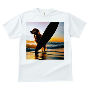 TVc fB[X t@  t  vg JWA 킢 lԗp tBbglX _X T[t{[h S[fgo[ [ C