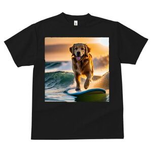 TVc fB[X t@  t  vg JWA 킢 lԗp tBbglX _X T[t{[h S[fgo[ C [