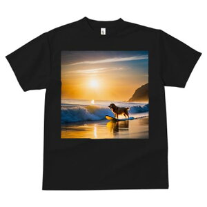 TVc fB[X t@  t  vg JWA 킢 lԗp tBbglX _X T[t{[h S[fgo[ [ C