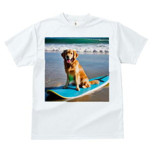 TVc fB[X t@  t  vg JWA 킢 lԗp tBbglX _X T[t{[h S[fgo[ r[` C g