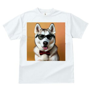 TVc fB[X t@  t  vg JWA 킢 lԗp tBbglX _X TOX VxAnXL[ ԂlN^C IWF̔wi