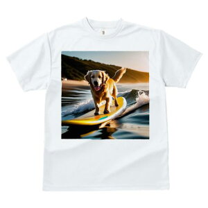 TVc fB[X t@  t  vg JWA 킢 lԗp tBbglX _X T[t{[h S[fgo[ C g