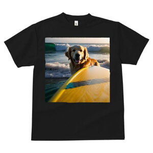 TVc fB[X t@  t  vg JWA 킢 lԗp tBbglX _X T[t{[h S[fgo[ C g T[tB [